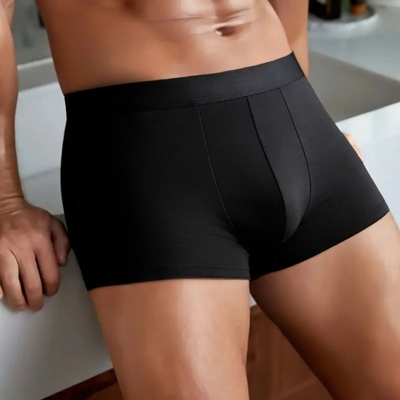 Quick Dry Underwear - Men's Ice Silk Boxer Briefs Solid